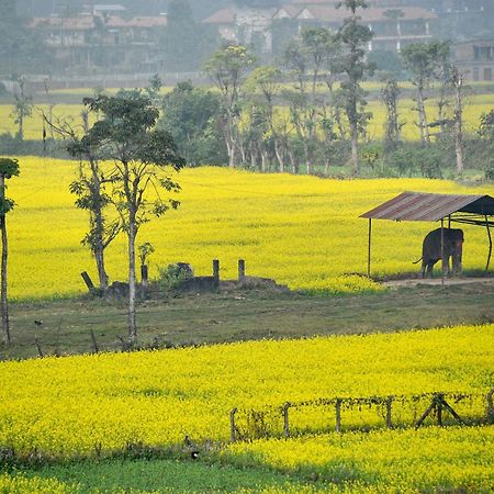 Sweet Home Chitwan Εξωτερικό φωτογραφία