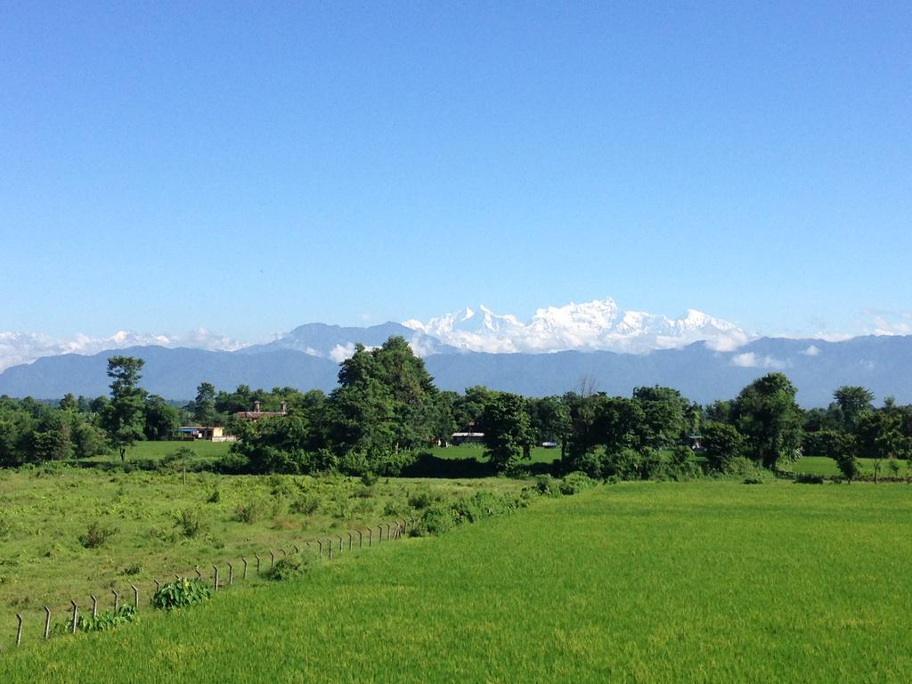 Sweet Home Chitwan Εξωτερικό φωτογραφία