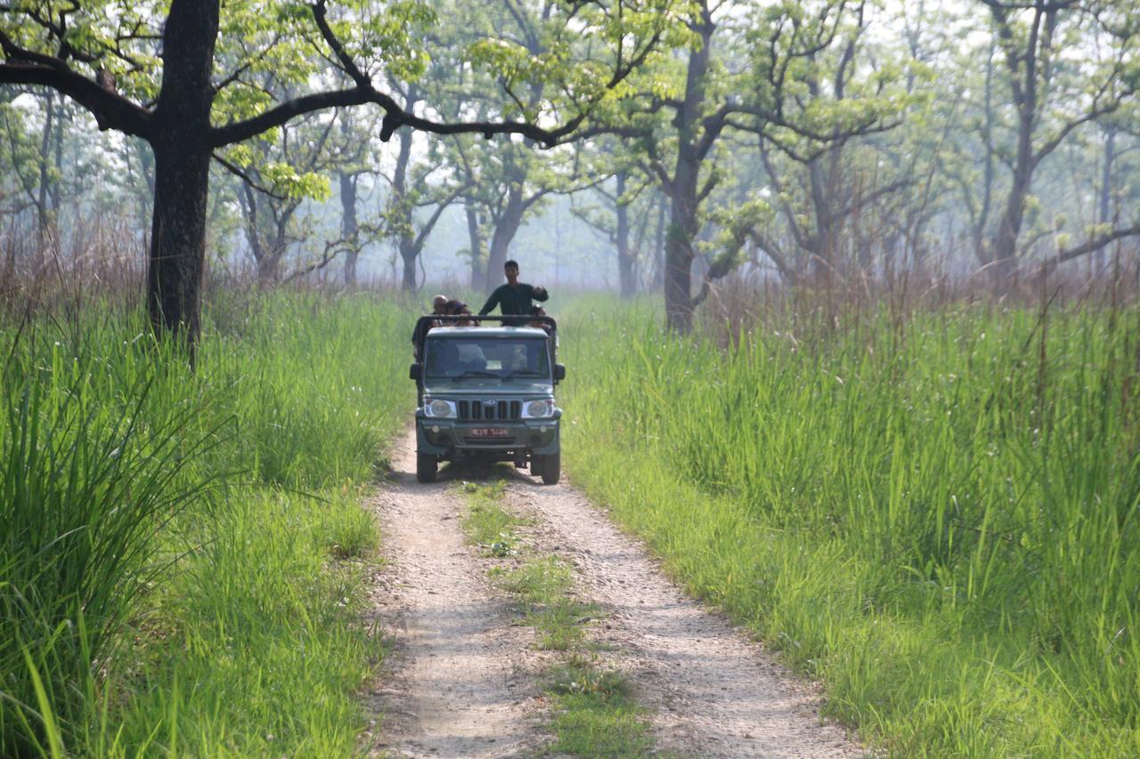 Sweet Home Chitwan Εξωτερικό φωτογραφία